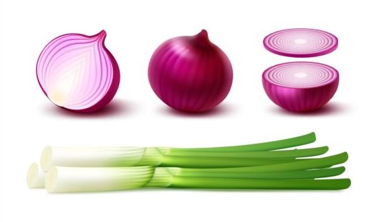 vagetables slice onion gree 