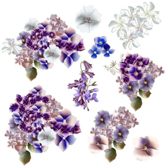 watercolor purple flowers colors blue 