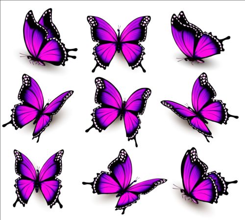 illustration colorful collection butterflies 