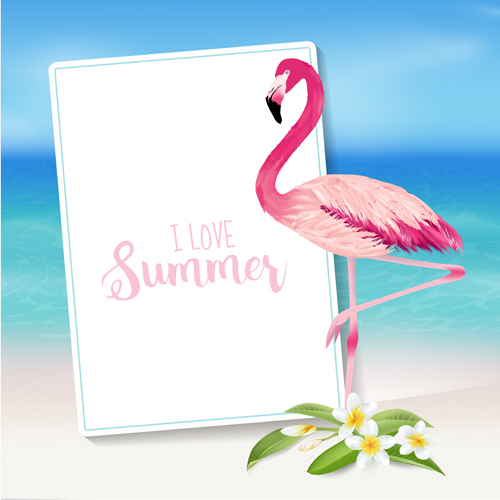 sea plumeria flamingo background 