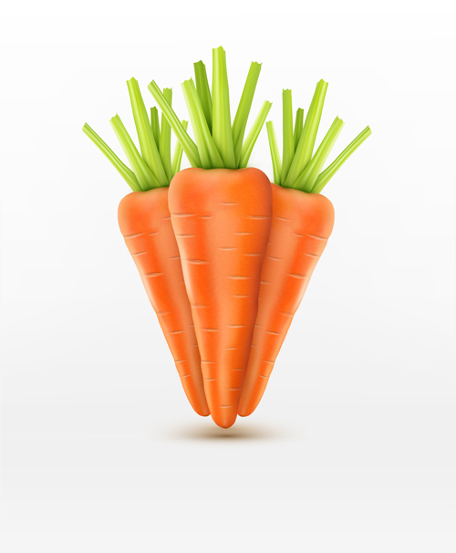 realistic carrot 
