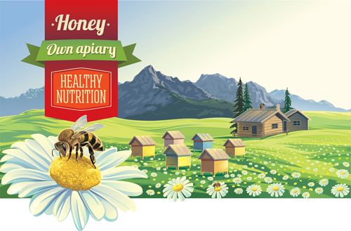 landscape honey farm 