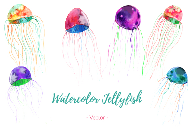 watercolor jellylish 