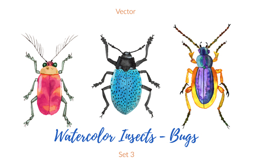 watercolor insects bugs 