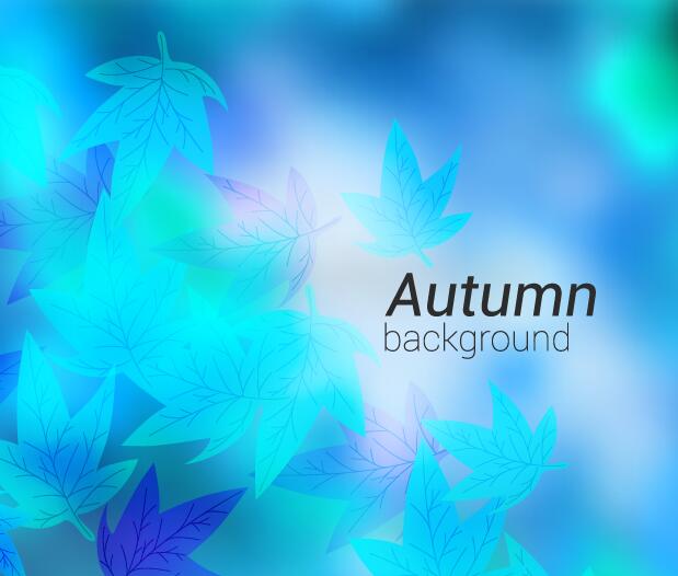 blue autumn leaves autumn 