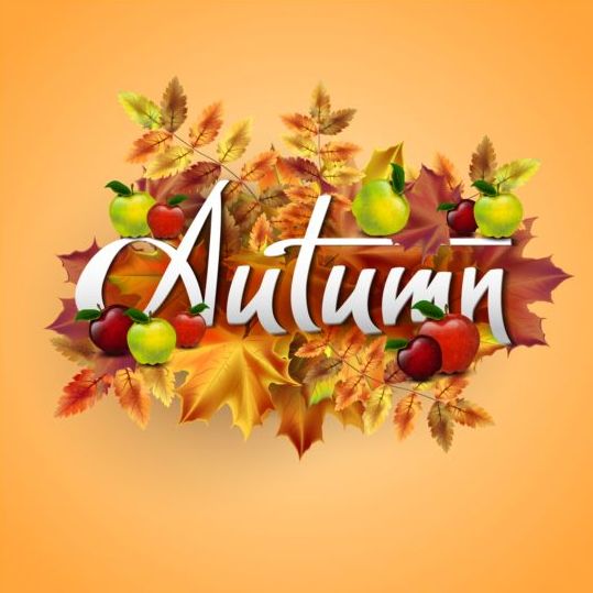 leaves background autumn apple 