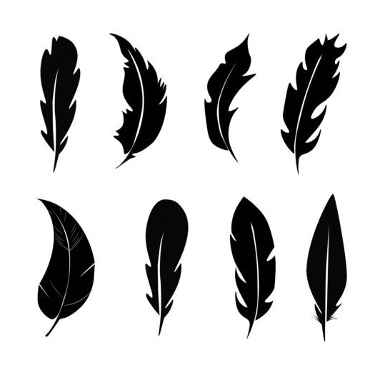 silhouetter feather 