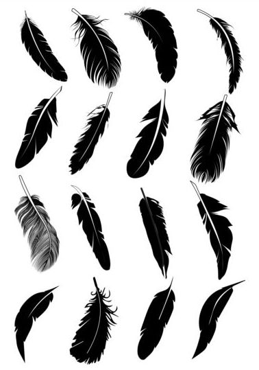 silhouetter feather 