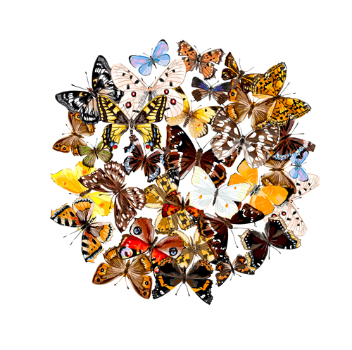 vintage butterflies background 