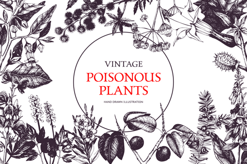 warning vintage poster Poisonous plants 