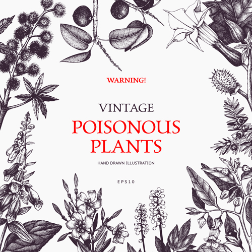 warning vintage poster Poisonous plants 
