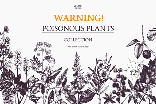 warning vintage poster Poisonous plants  