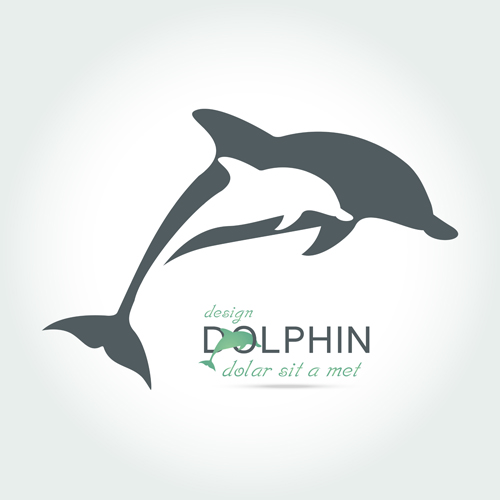 dolphin creative Backgrounds 