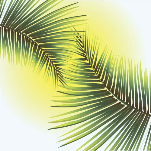 palm leaves green 