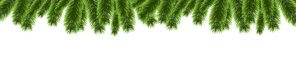 pine christmas branches borders 