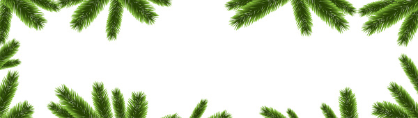 pine frame decor christmas branches 