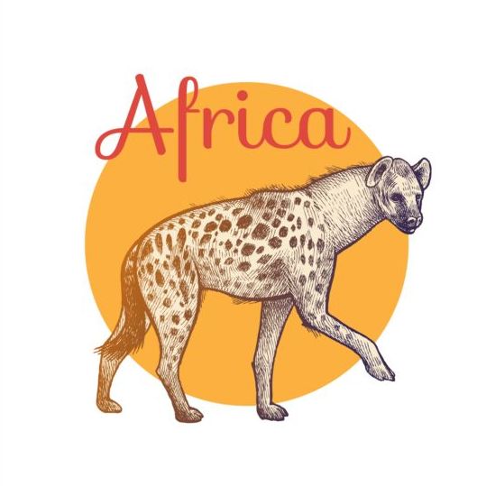 Hound africa 