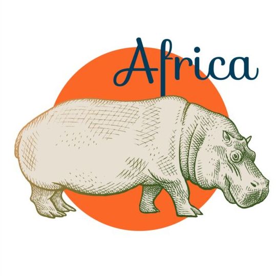 hippo africa 