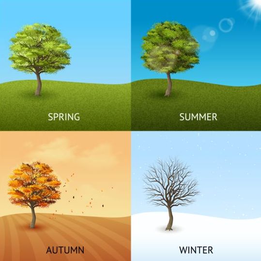 tree seasons four 
