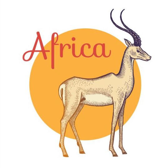 Antelope africa 