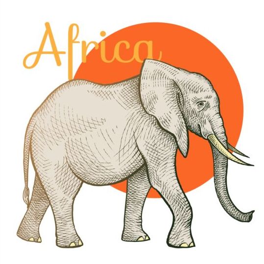 elephant africa 