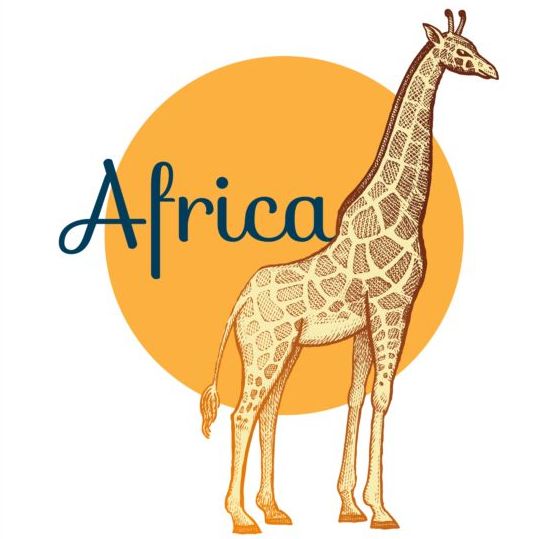 giraffe africa 