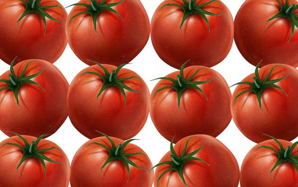 Fresh tomato pattern vector32 